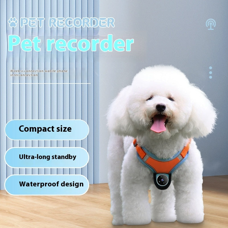 PetCam | Pro Collar