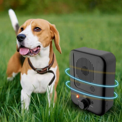 BarkBuster | Anti-Bark Solution