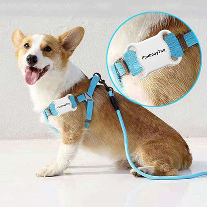 SplashTag | Waterproof Pet Smart GPS Locator