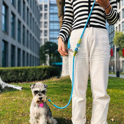 WalkAbout | Hands-Free Dog Walking Leash