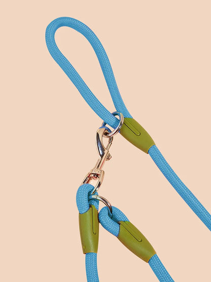 WalkAbout | Hands-Free Dog Walking Leash